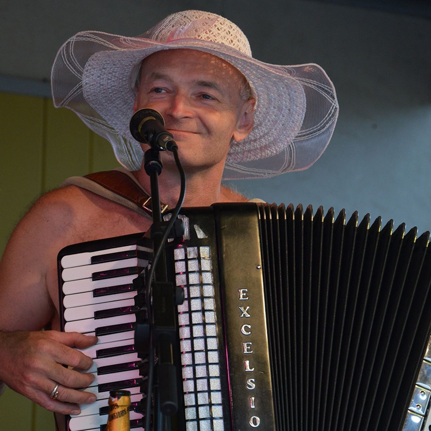 Harmonikanørderne