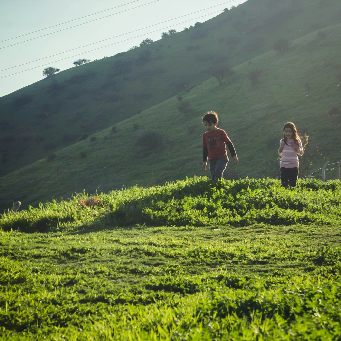 Pequeños exploradores