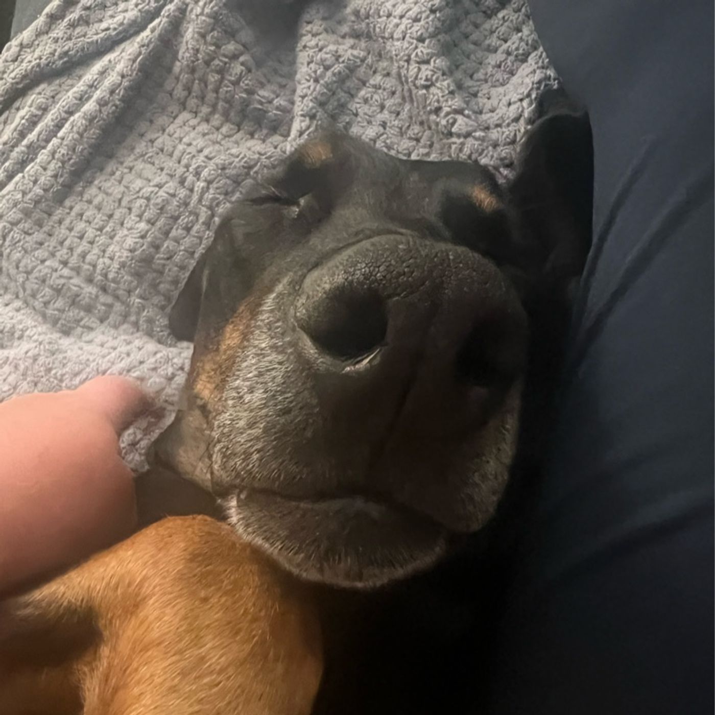 Episode 295 - Time is fake, but timing is everything.