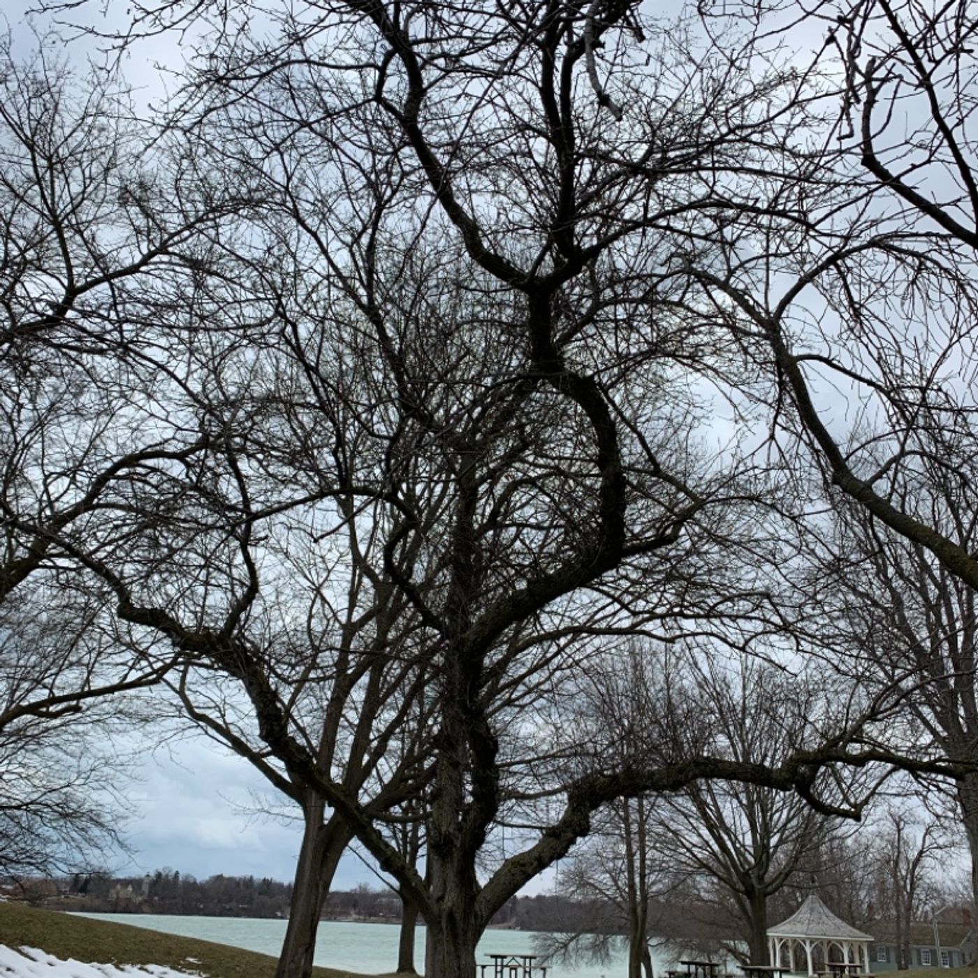 Prayer on the Go! - with Bishop Deb