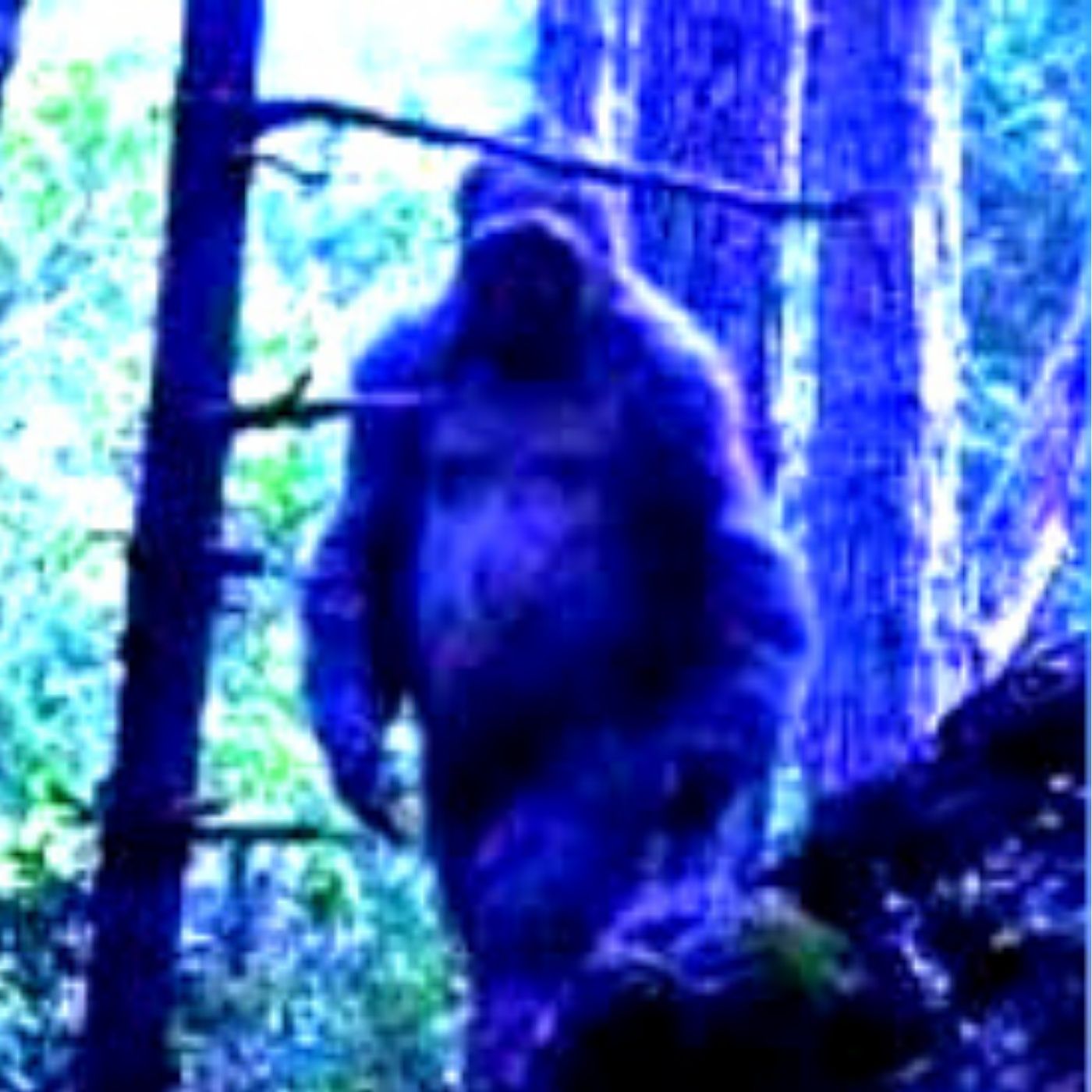 TRUE UFO, Bigfoot and Ghost Stories