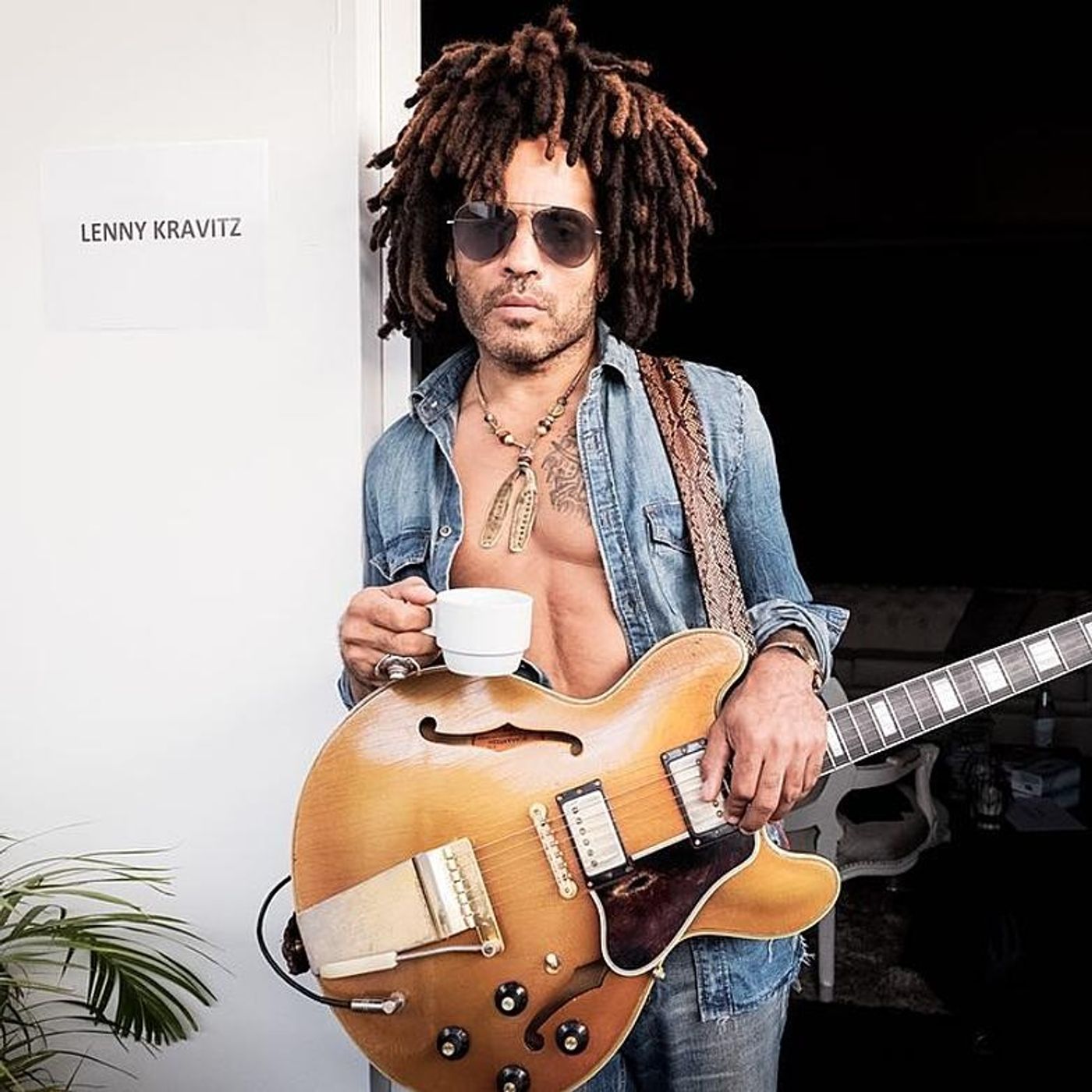 LENNY KRAVITZ (live in concert recordings/studio cuts) • LagunaPalooza:  Fantasy Concert - Podcast Addict