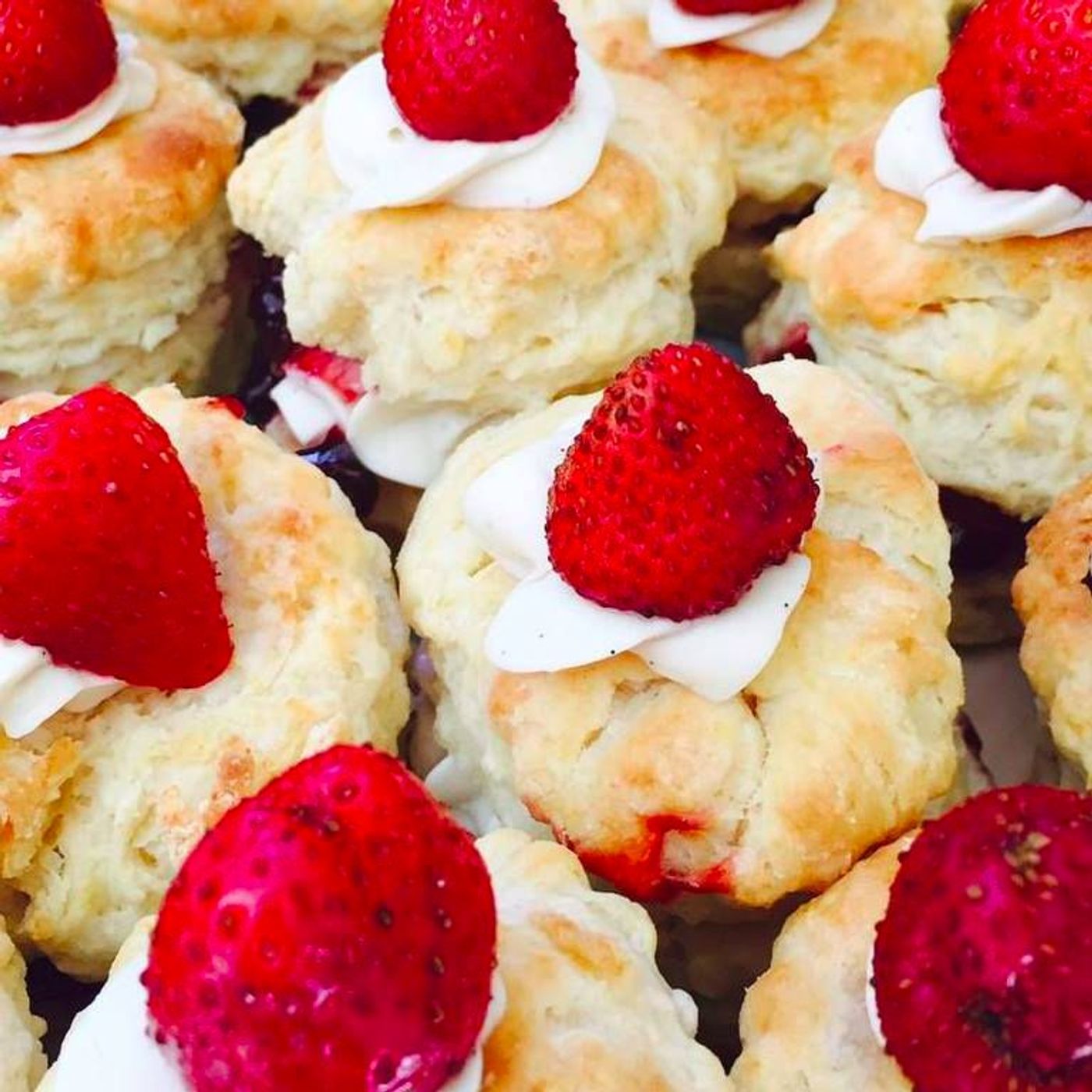 Delicious Revolution