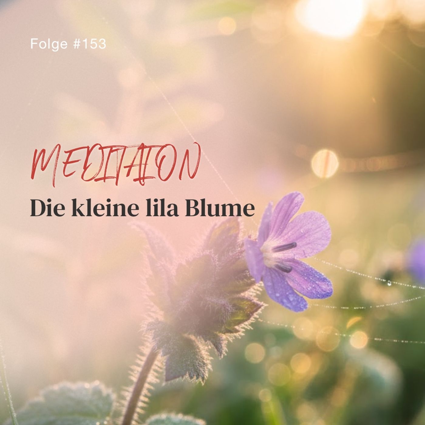 Die kleine lila Blume | ca. 27 Min | Folge 153 episode artwork