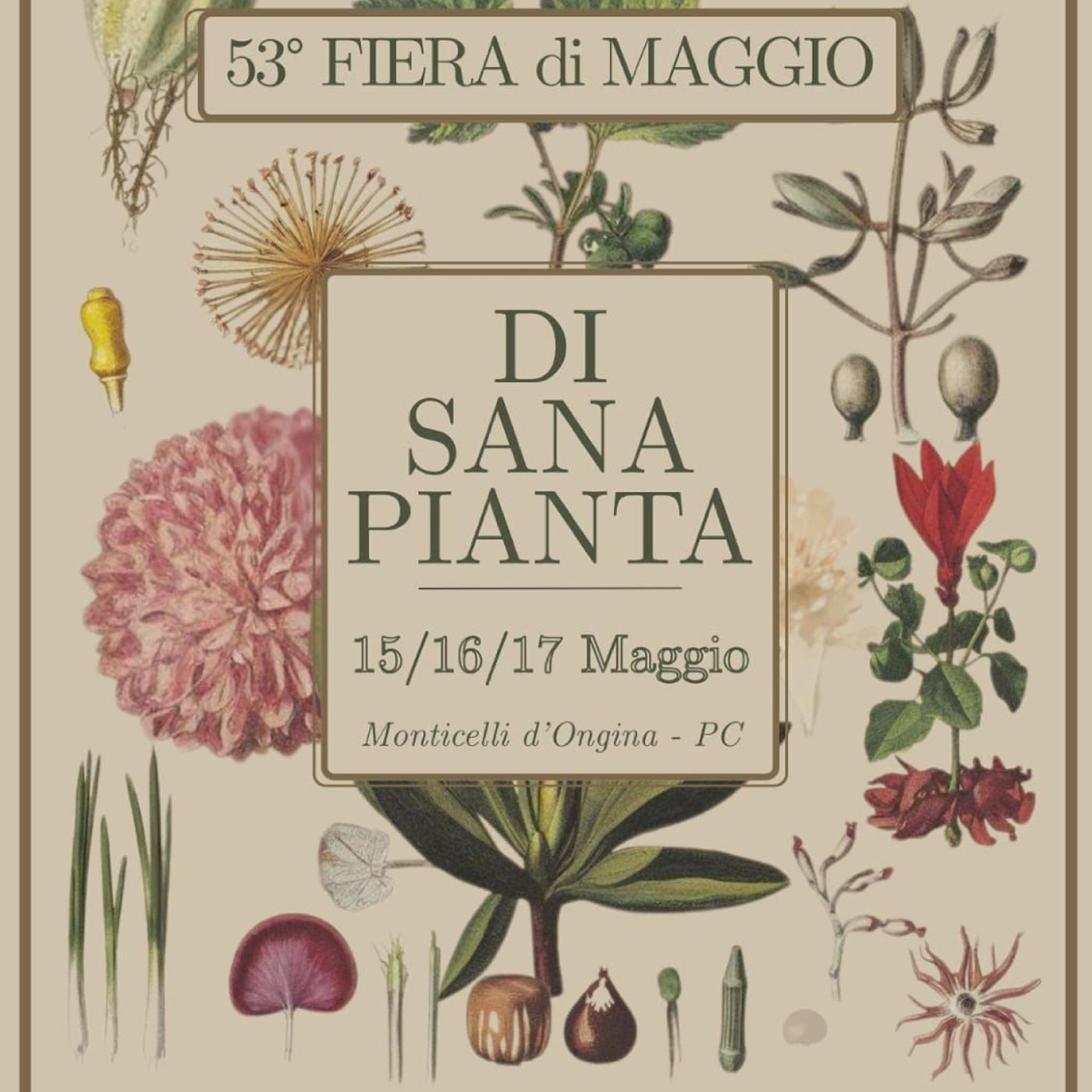 Episodio 46. 53esima Fiera di Maggio ... "Di Sana Pianta"! episode artwork