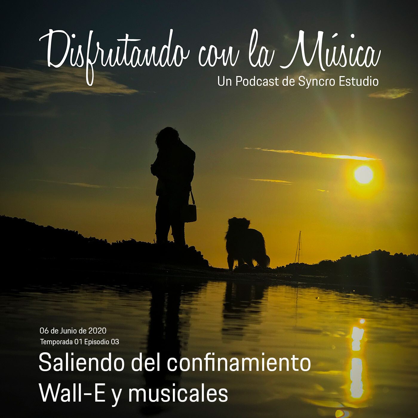 Disfrutando con la Música