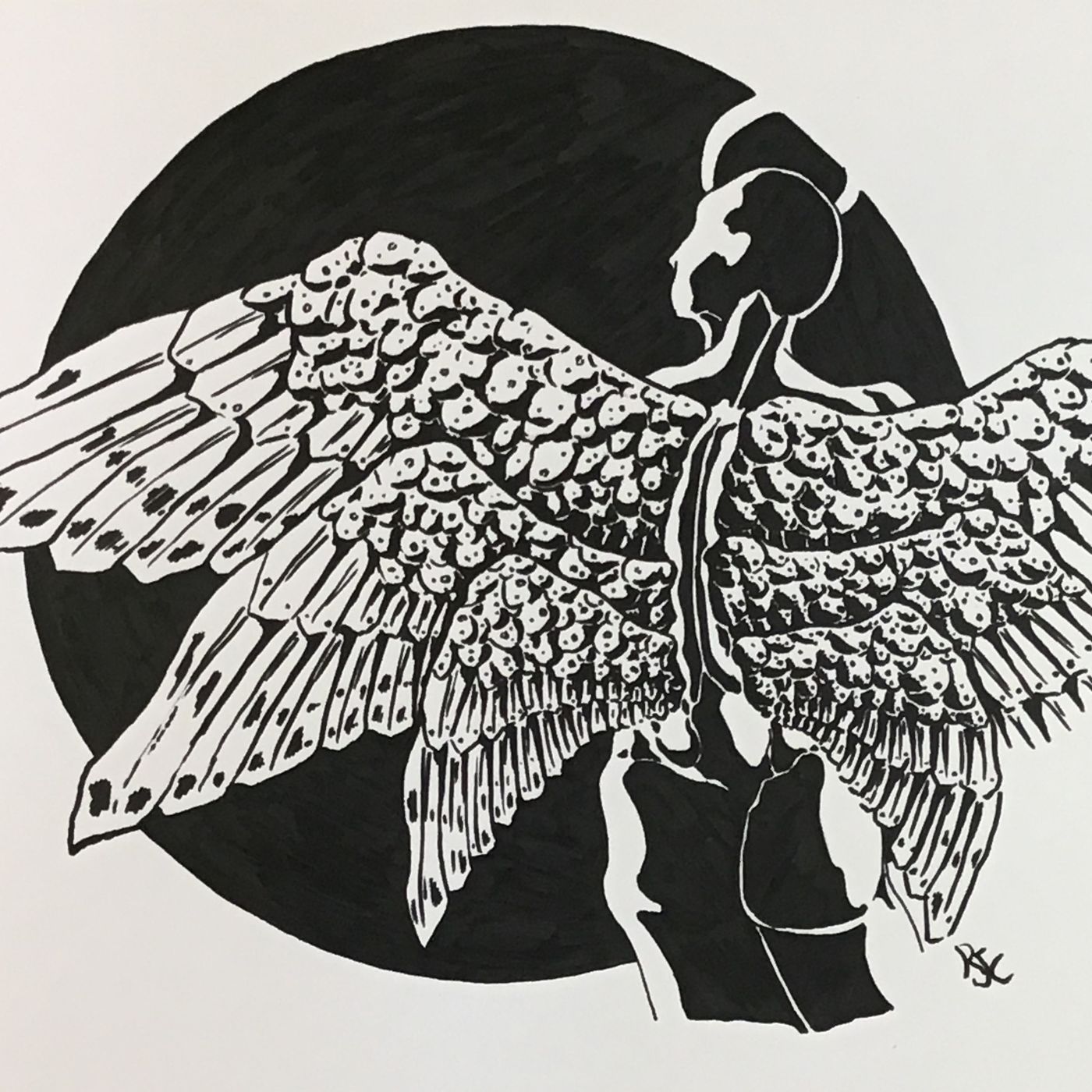 Unfolding Wings