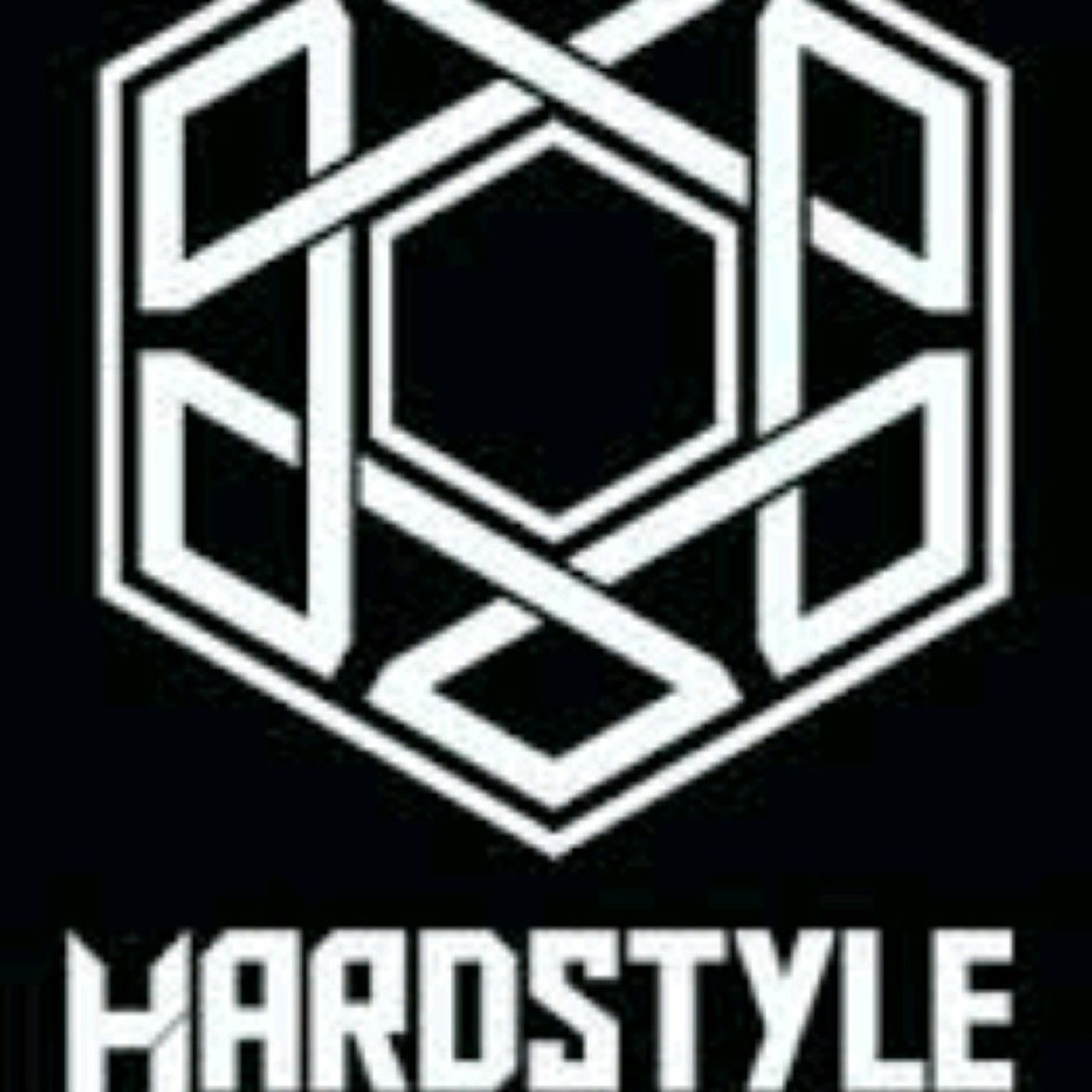 Maarten en Jeroen Gouw\'s show