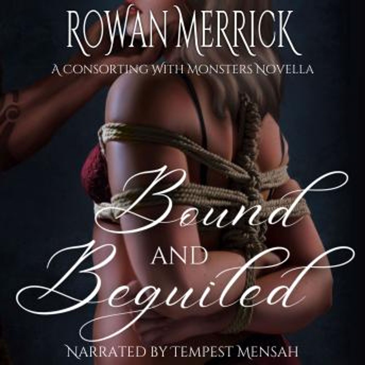 Access Unmissable Full Audiobooks in Romance, LGBTQ+
