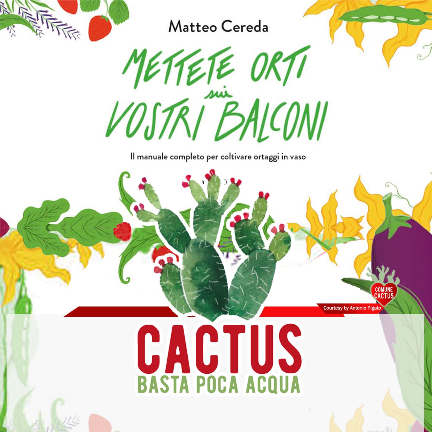 Cactus #32 - La pazienza del giardiniere - 06/05/2021