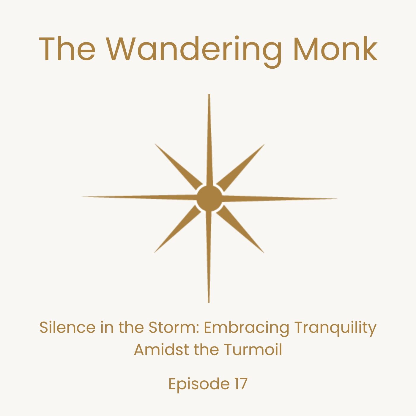 Silence in the Storm: Embracing Tranquility Amidst the Turmoil