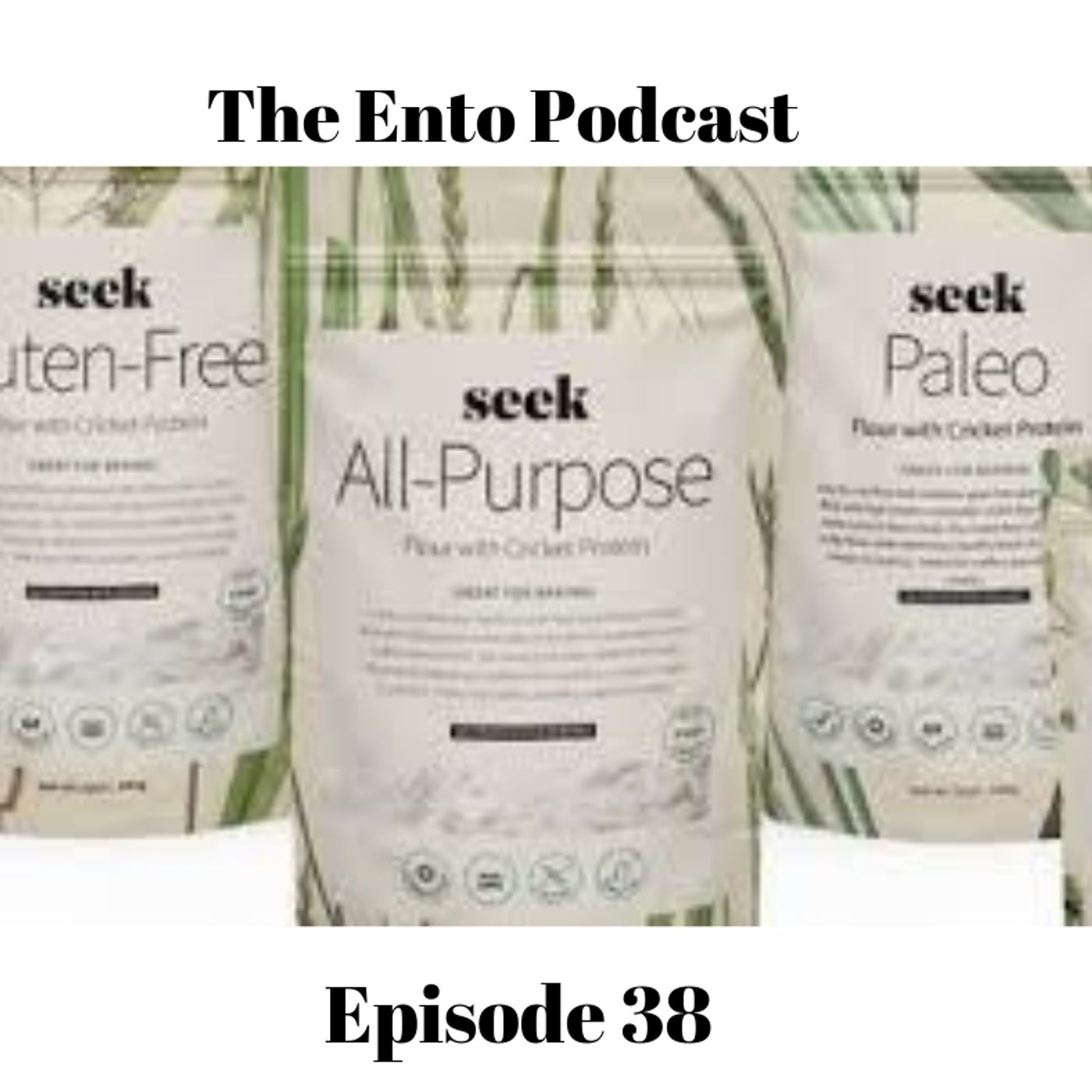 The Ento Podcast