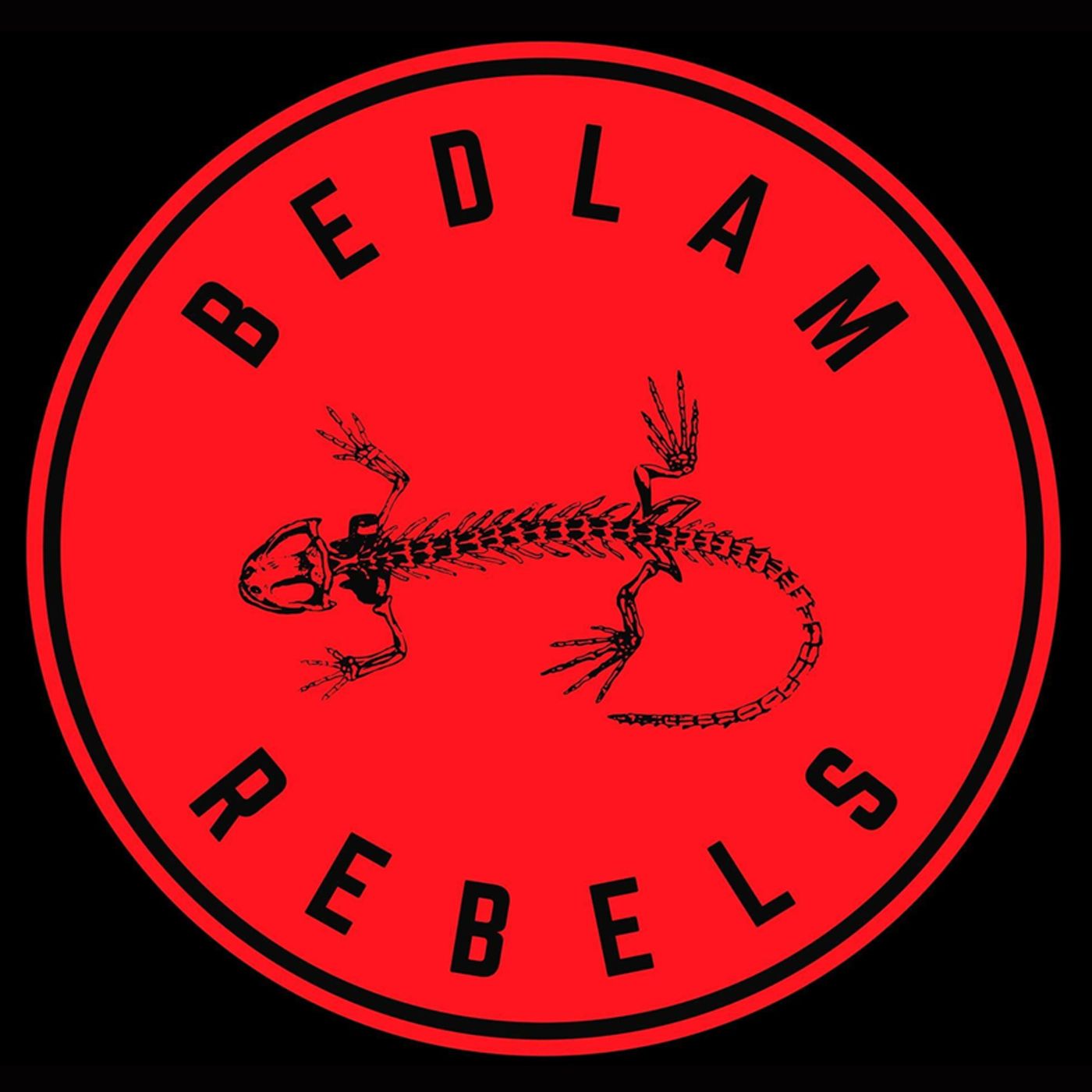 Local Spotlight Artist - Bedlam Rebels Interview With Marty