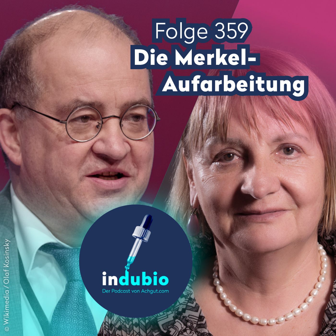 Flg. 359 - Die Merkel-Aufarbeitung