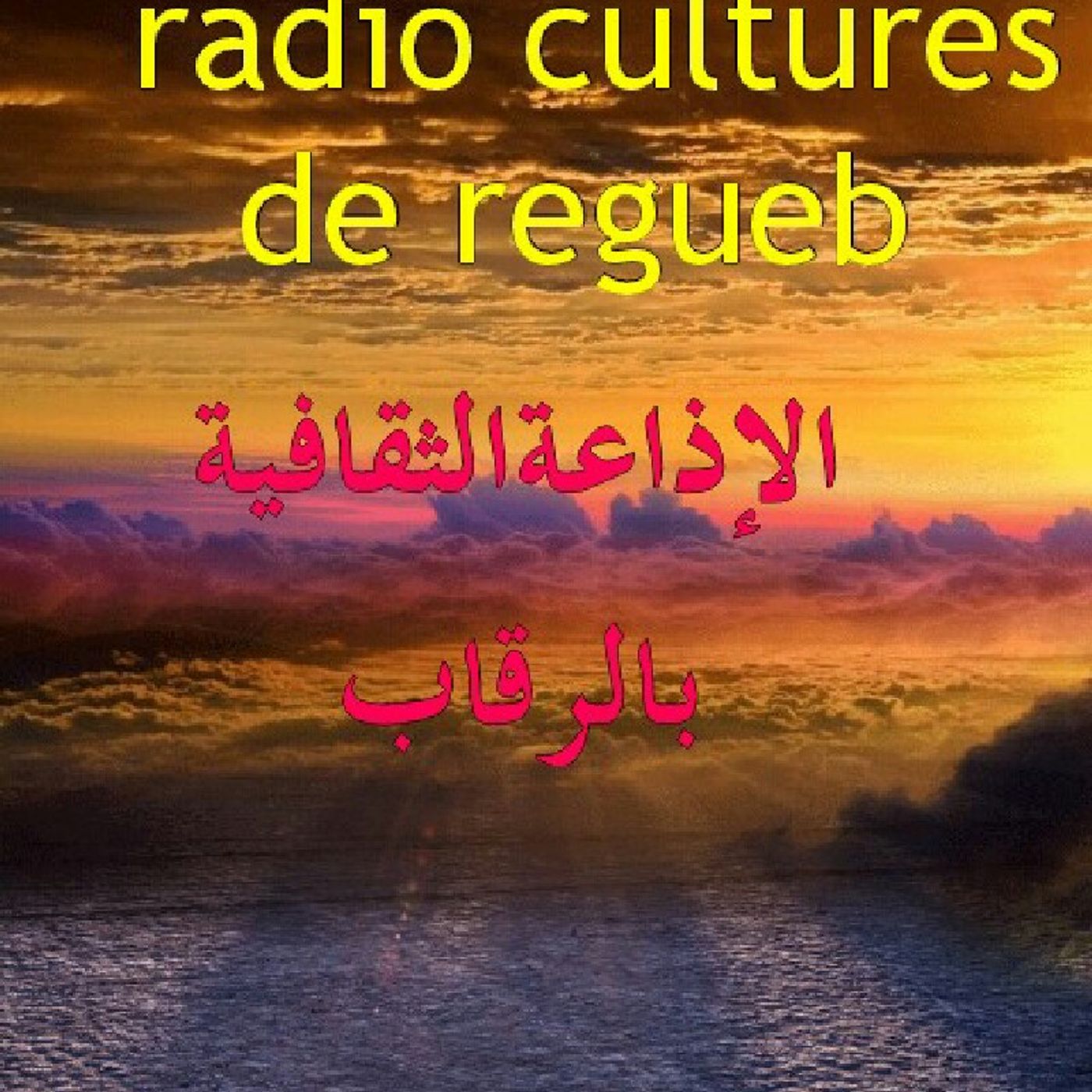 Saif Felhi Officielle\'s show