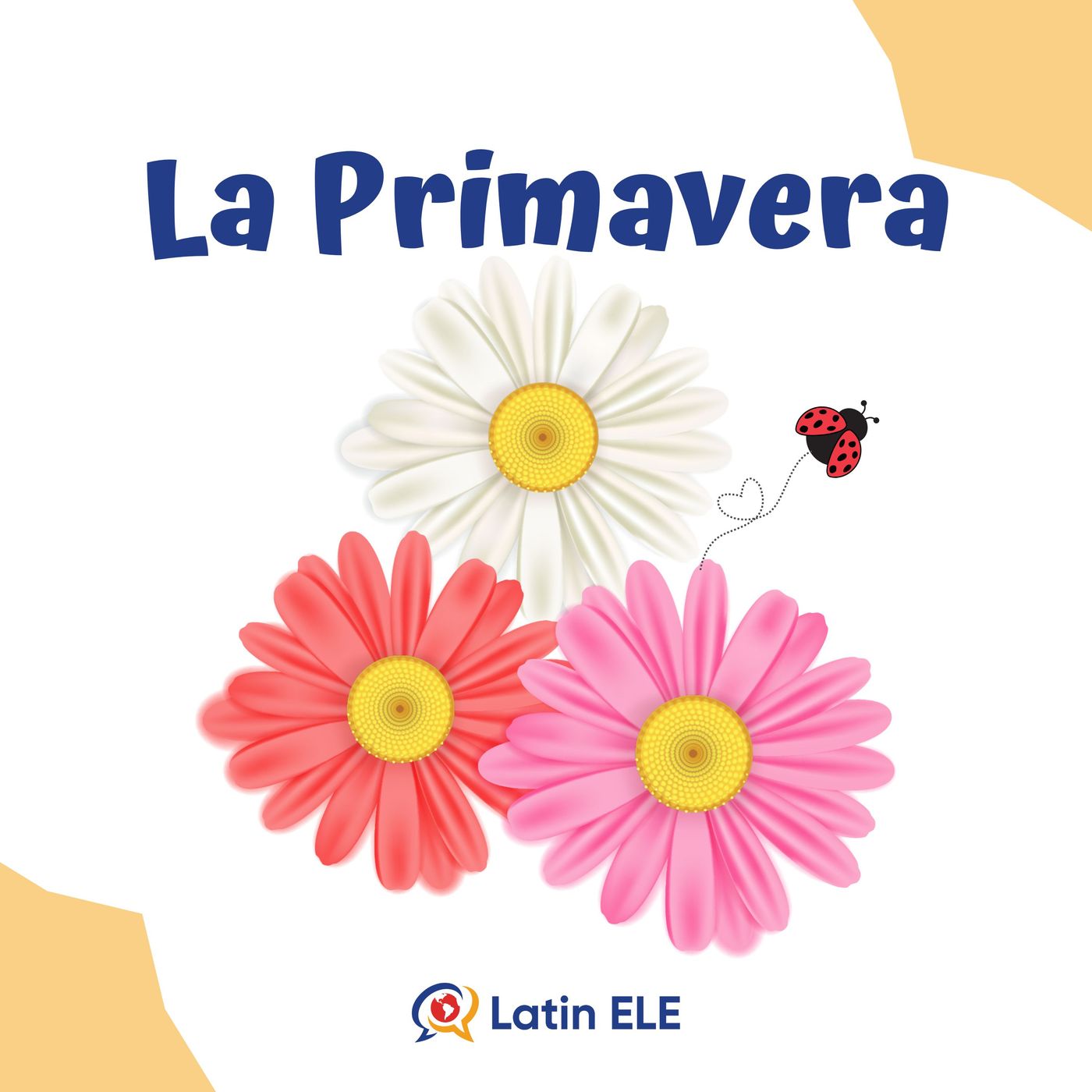 78. 💐 Spring is in the Air! Learn Spanish Seasonal Words