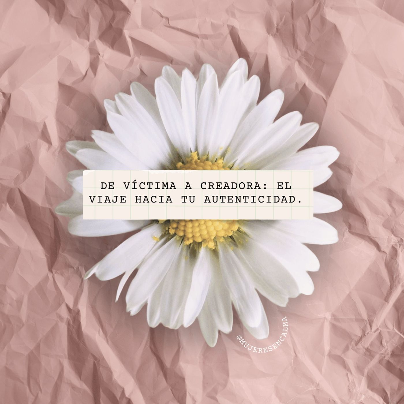Mujeres en calma