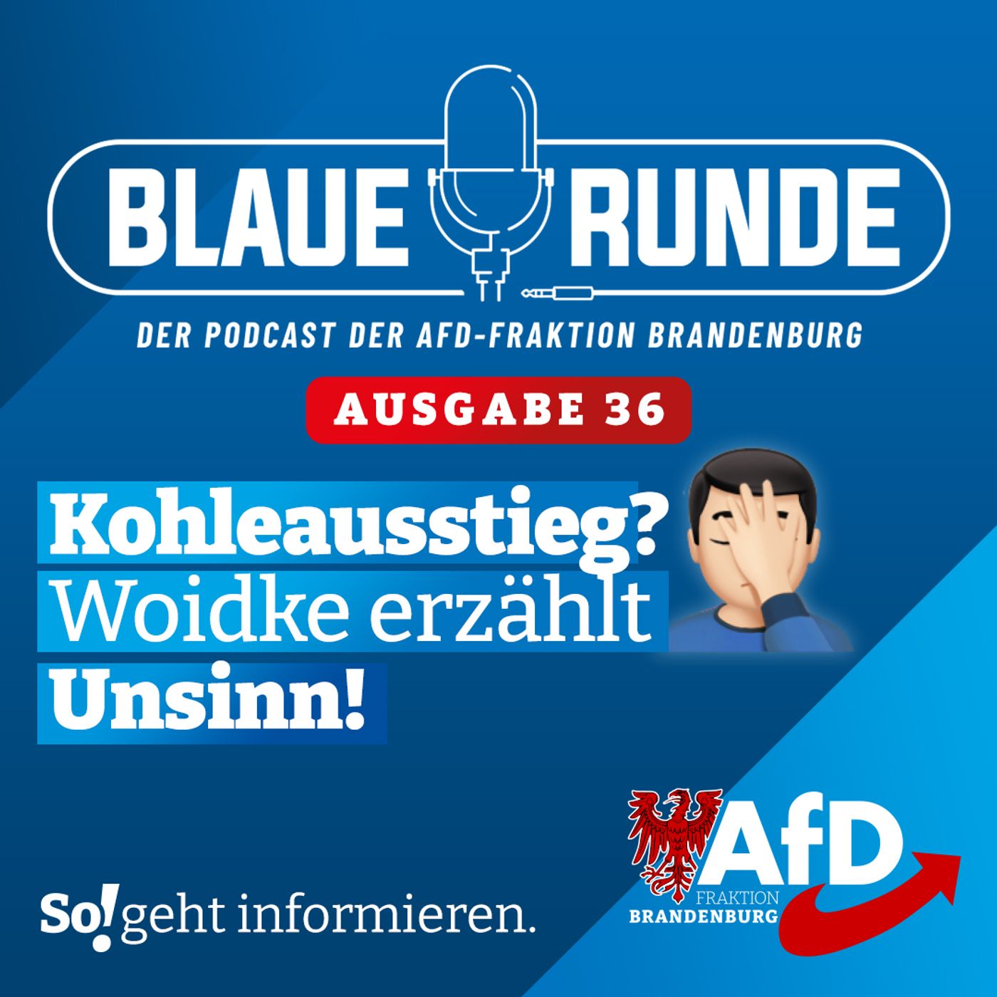 Kohleausstieg? Woidke erzählt Unsinn! | Die Blaue Runde, Ausgabe 36/23 vom 09. April 2023 episode artwork