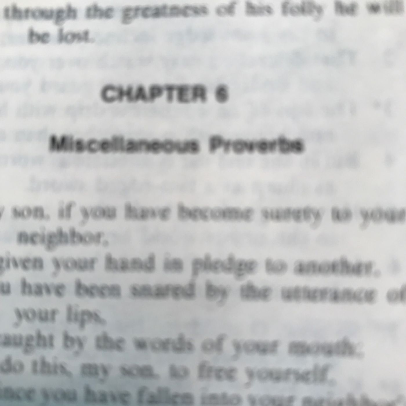 Chapter 6. Introduction: Miscellaneous Proverbs episode artwork