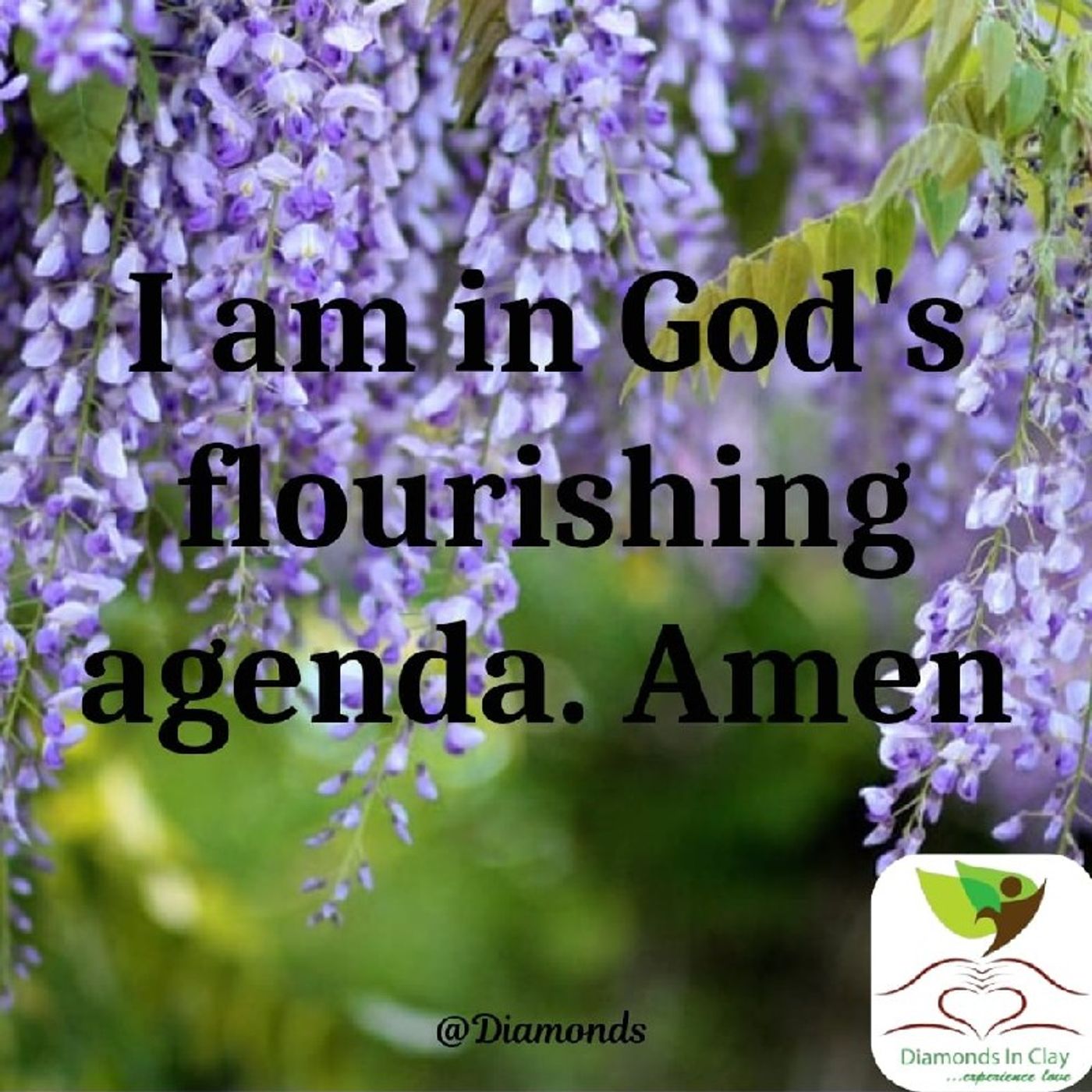 Debbie Kush\'s podcast