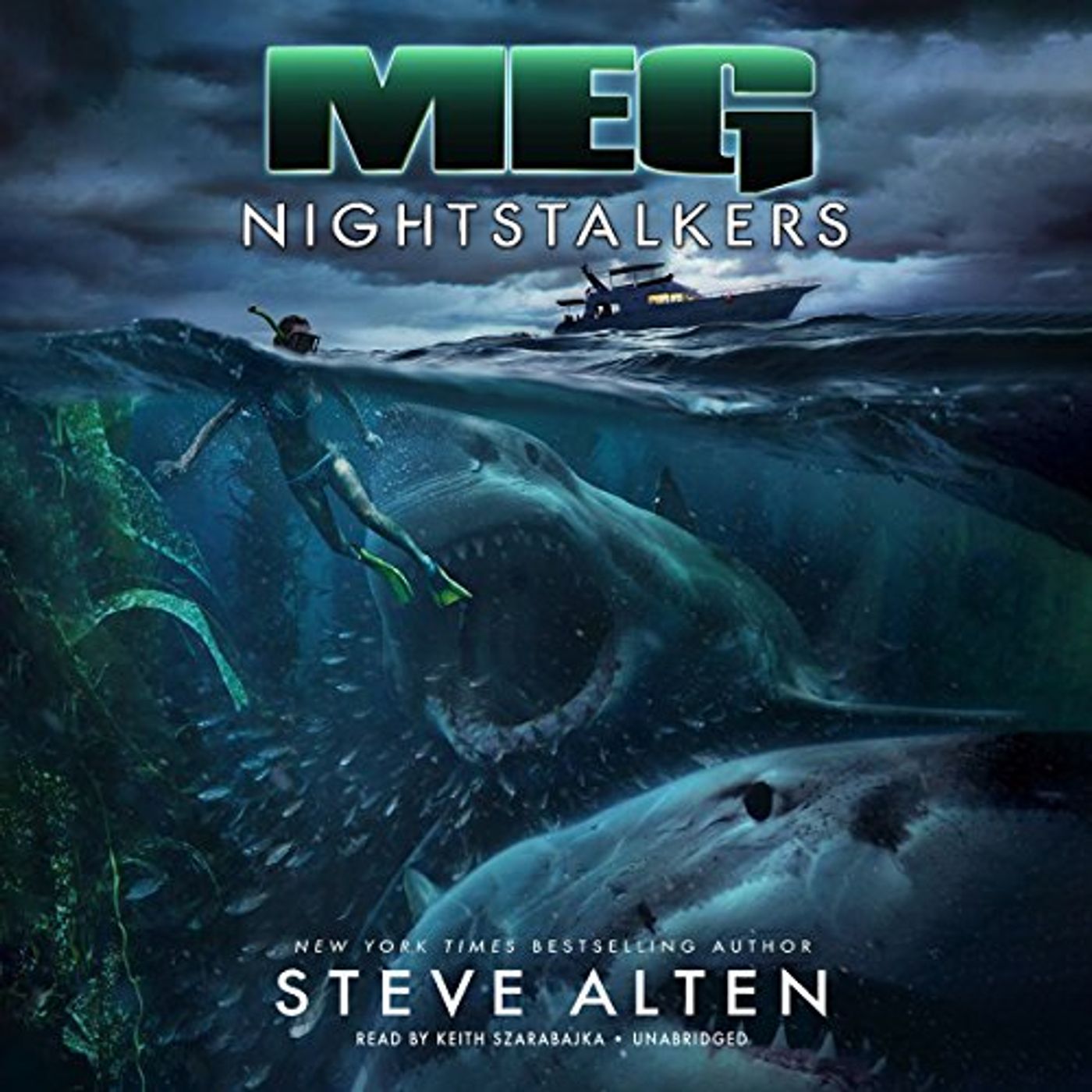 Engage  Audiobook in Fiction, Historical