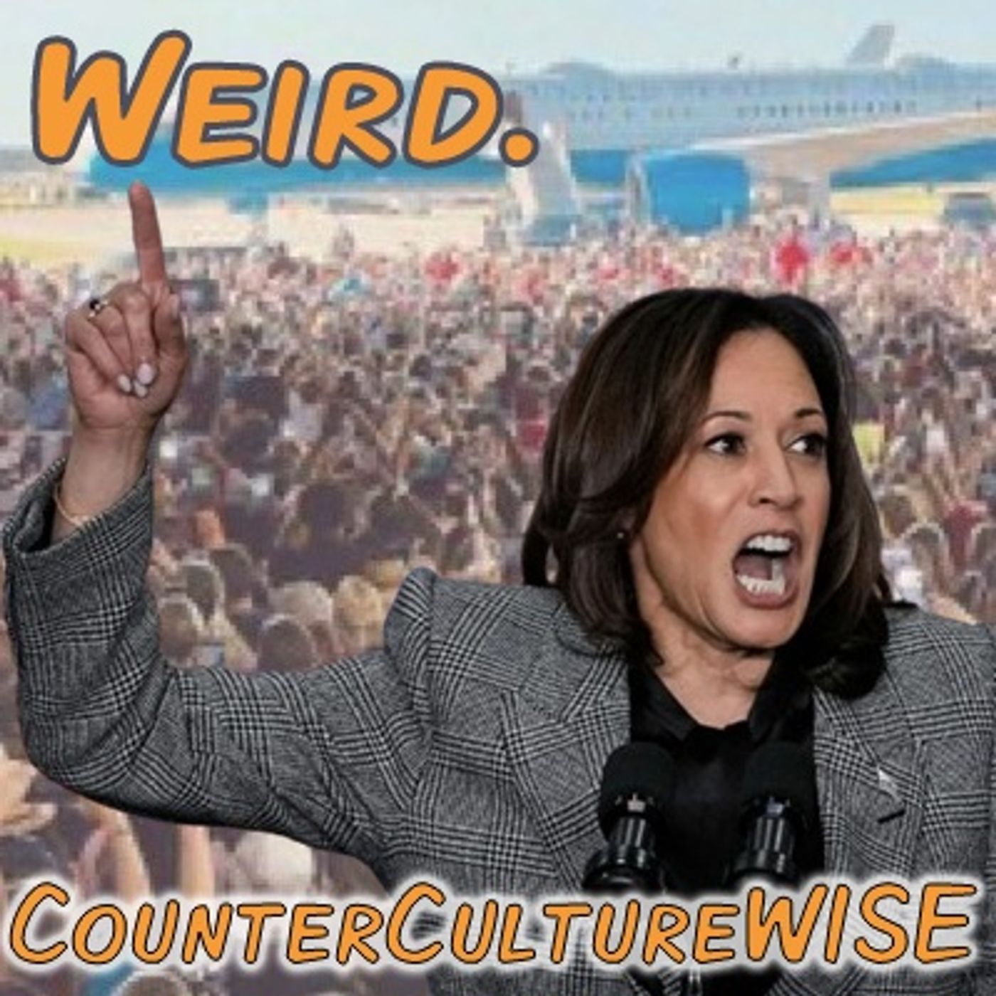 CounterCultureWISE