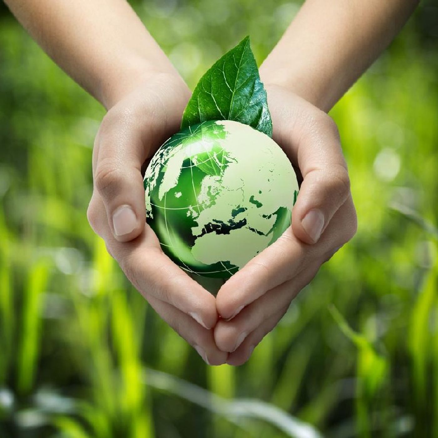 Podcast: ¿Cómo cuidar el medio ambiente? episode artwork