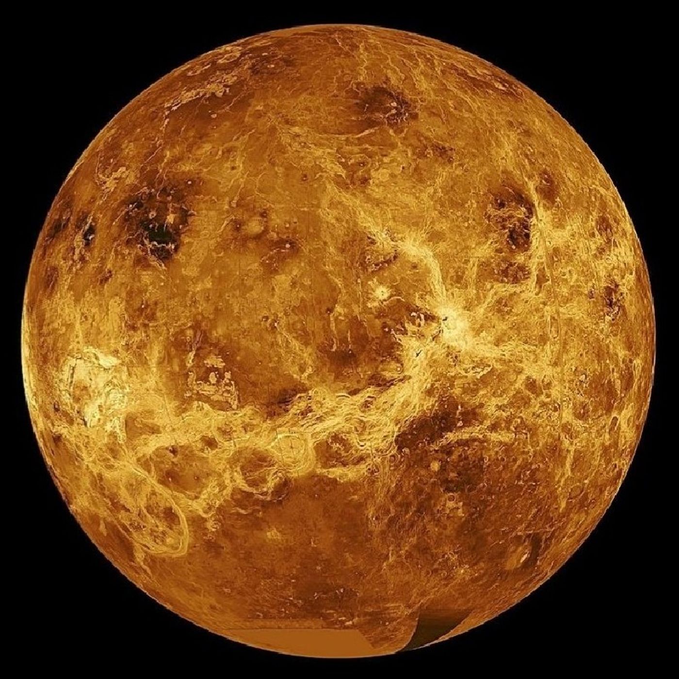 La bella Venere episode artwork