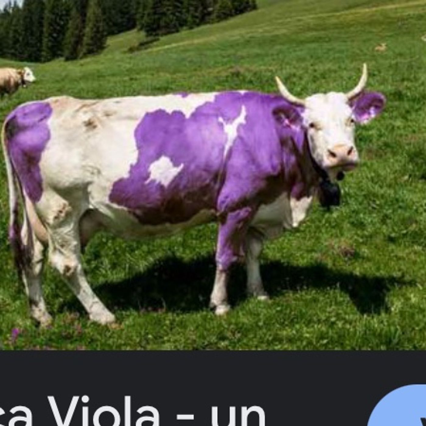 Negotium Facendum  Paulus Firmanus