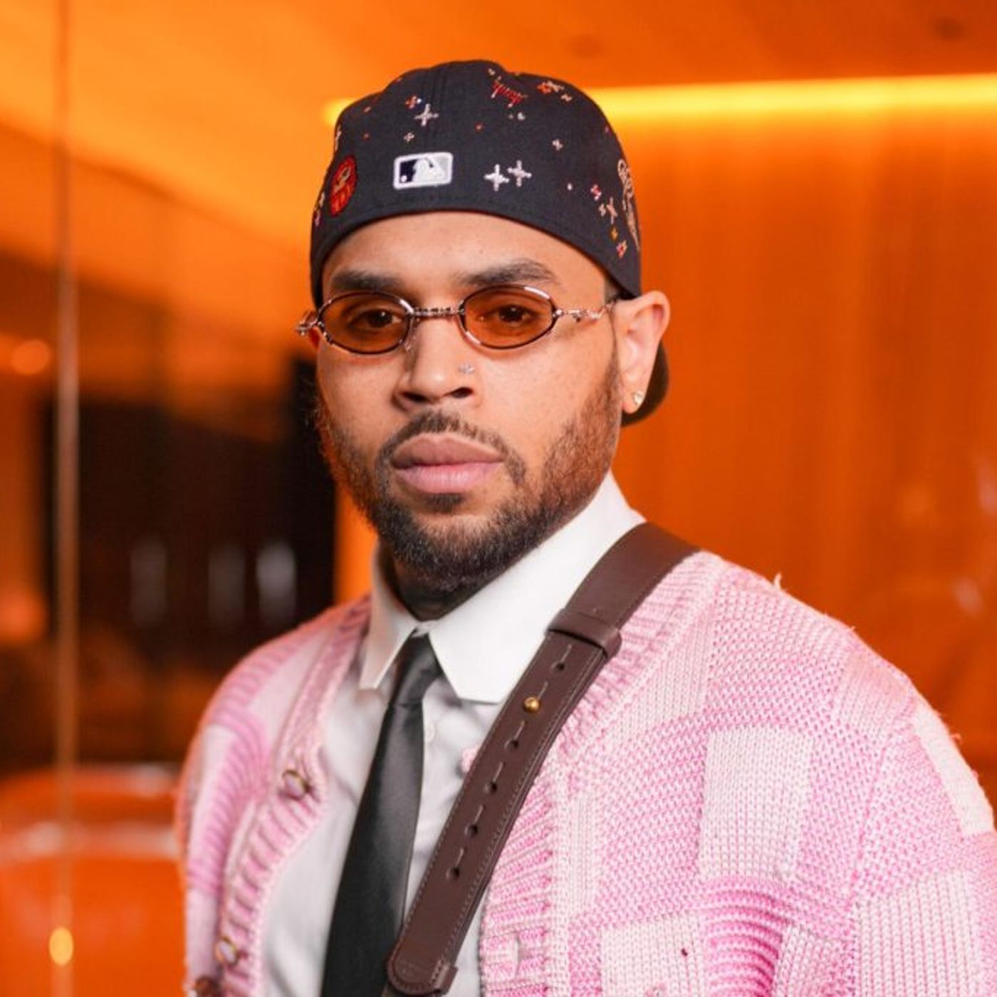 Chris Brown Contests $13M Dog Attack Verdict Over ‘Inflammatory’ Rihanna Assault Mention episode artwork