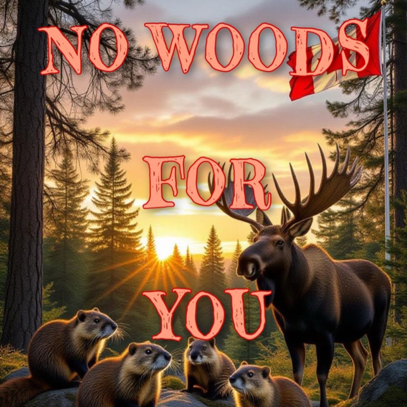 No Woods for You