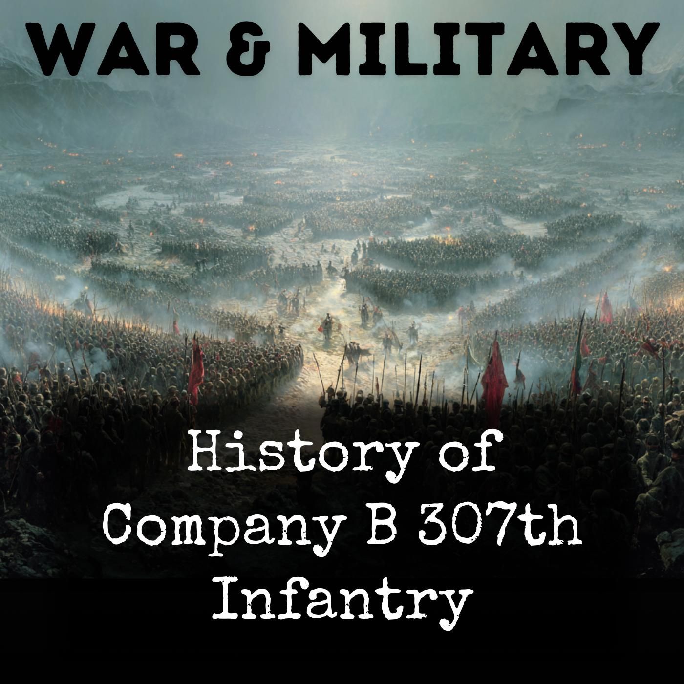 History of Company B 307th Infantry podcast artwork