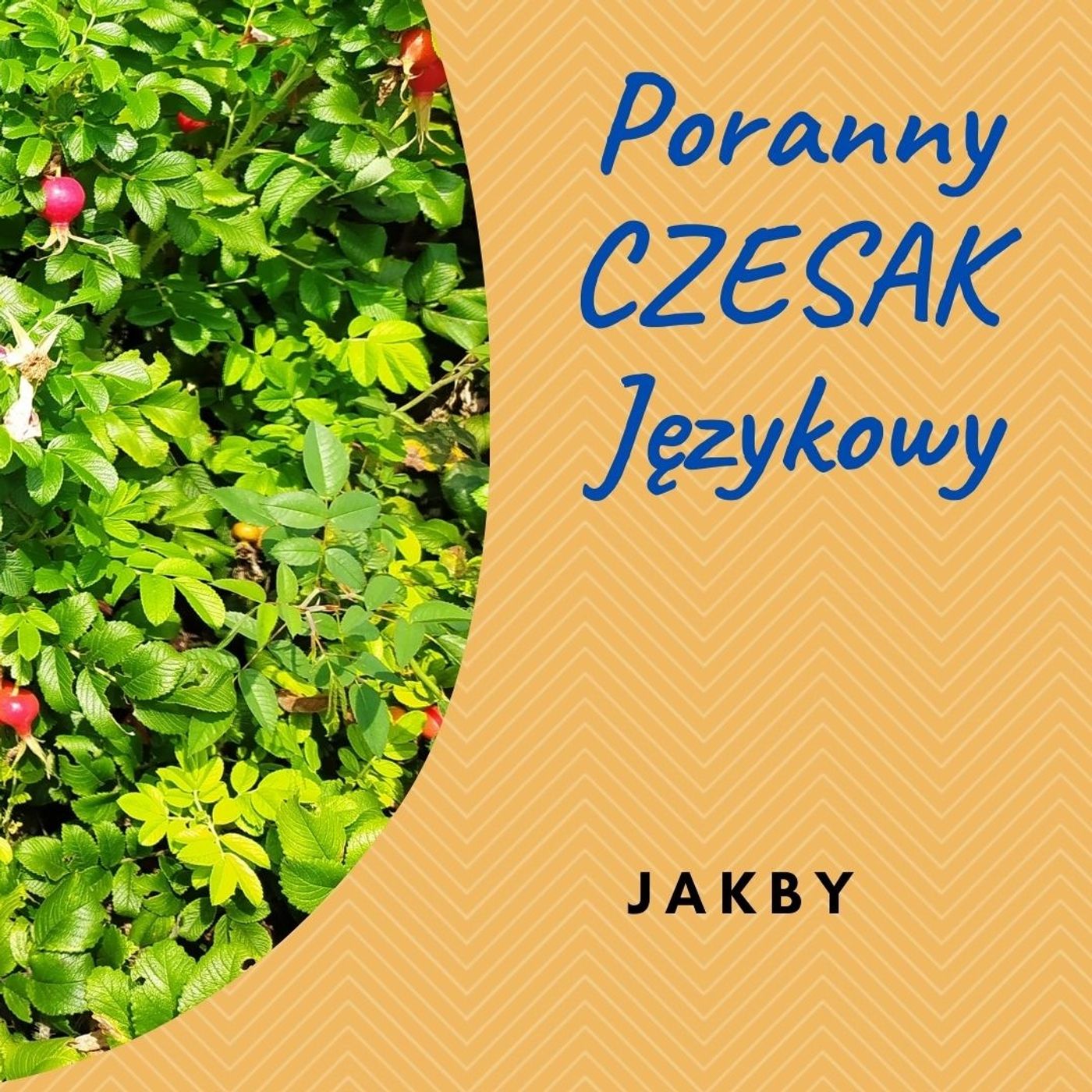 Poranny Czesak Językowy