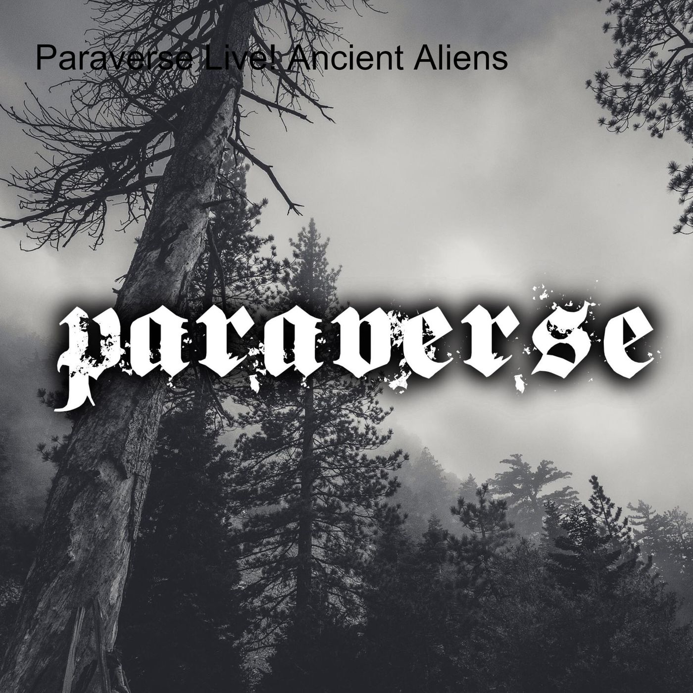 Paraverse - Live show and podcast series
