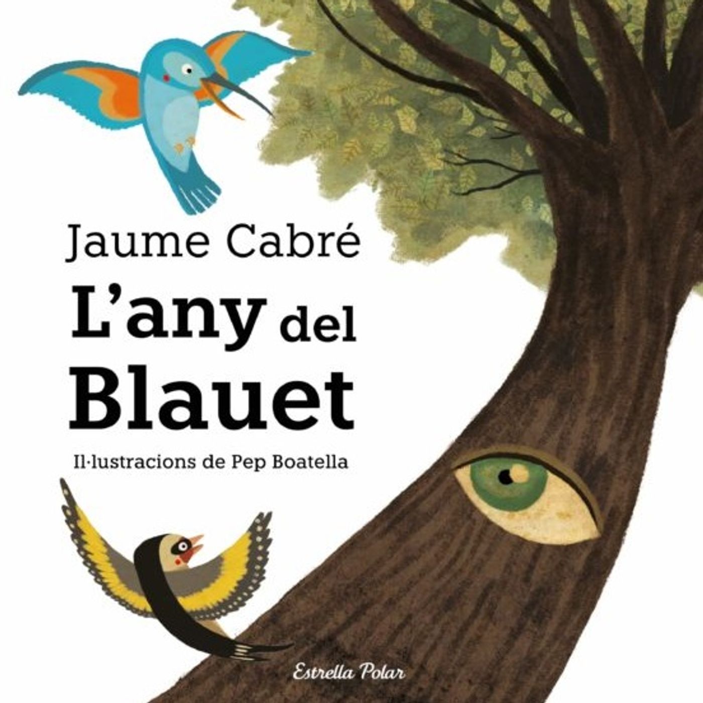 Roda de contes (117 - L'any del Blauet) 27 07 23 episode artwork