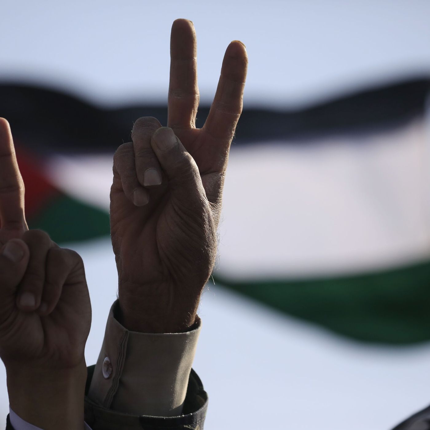 La República de los Tonnntos: Huelga general de la izquierda... "contra el genocidio en Gaza"