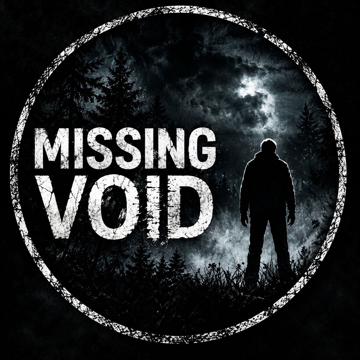 Missing Void podcast artwork