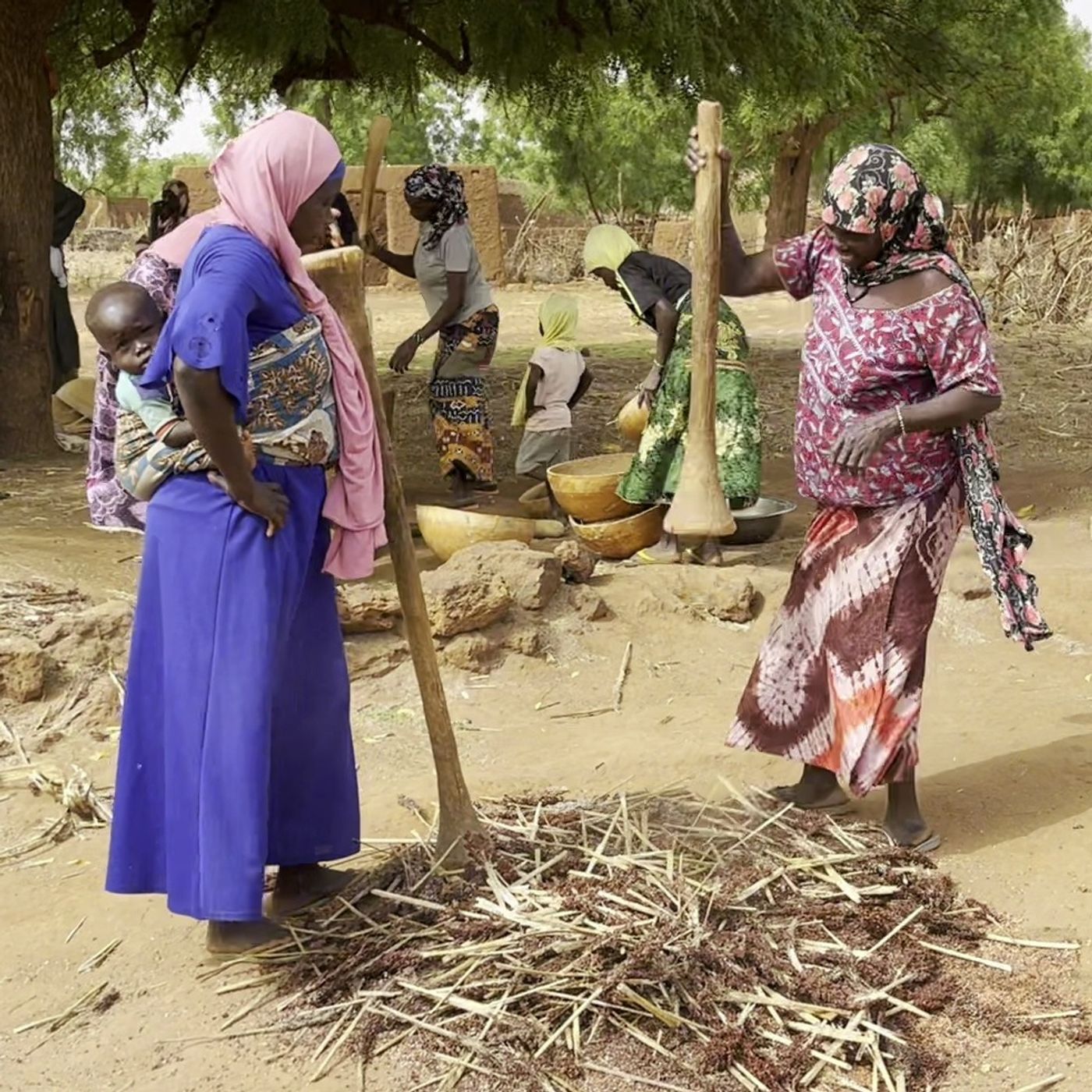 À Yama, le quotidien des femmes batteuses de mil (magazine) episode artwork