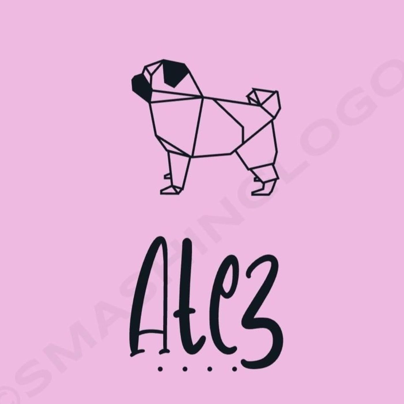 Los pros y contras de la adopción podcast artwork
