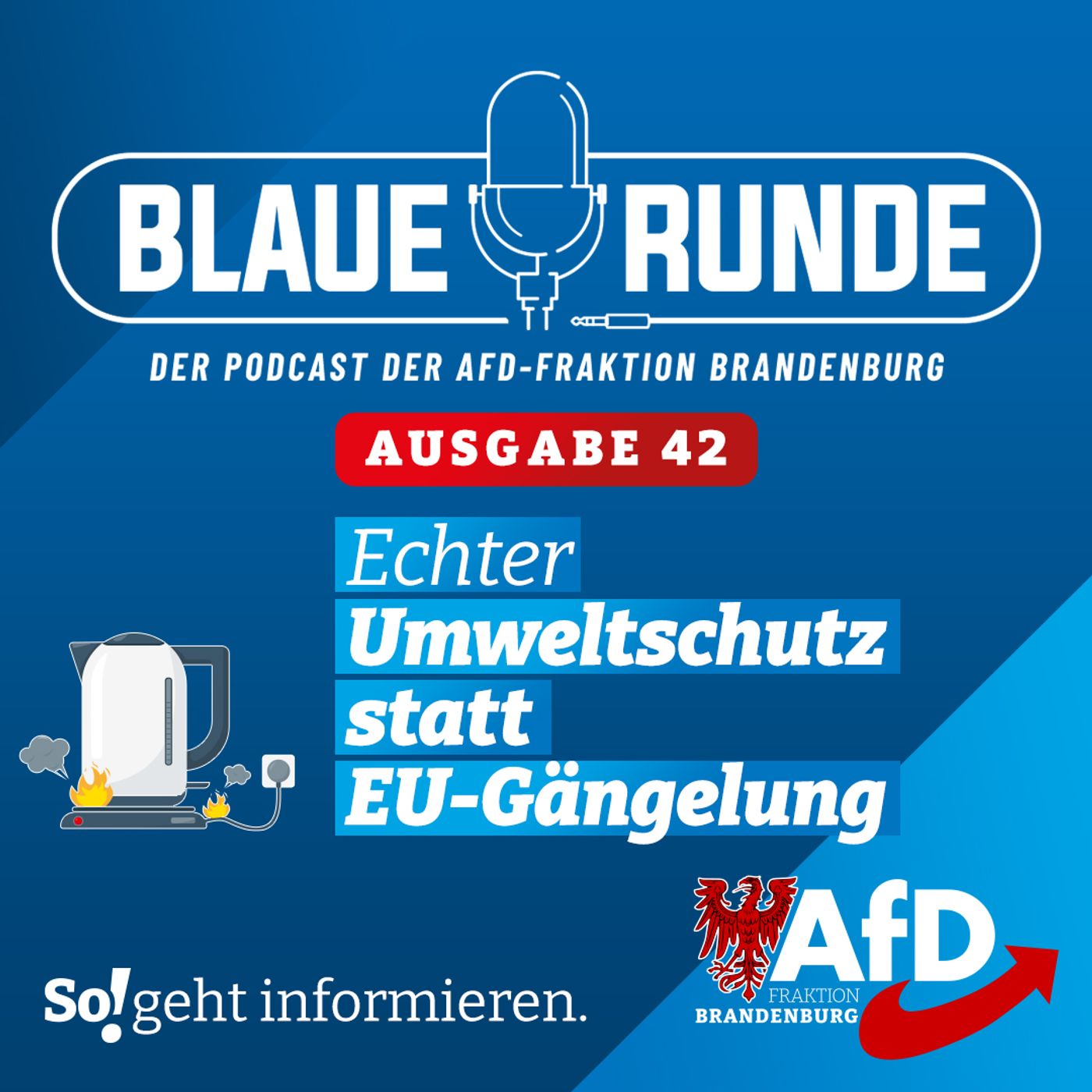 Echter Umweltschutz statt EU-Gängelung! | Die Blaue Runde, Ausgabe 42/23 vom 28. April 2023 episode artwork