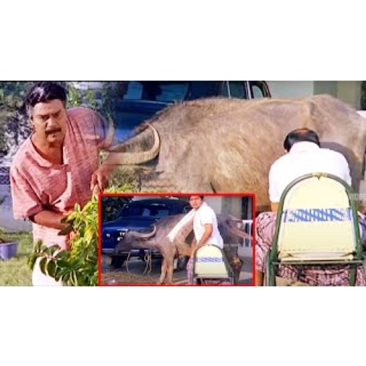 S02E18 - kota Srinivasa Rao and Brahmanandam Comedy Scenes