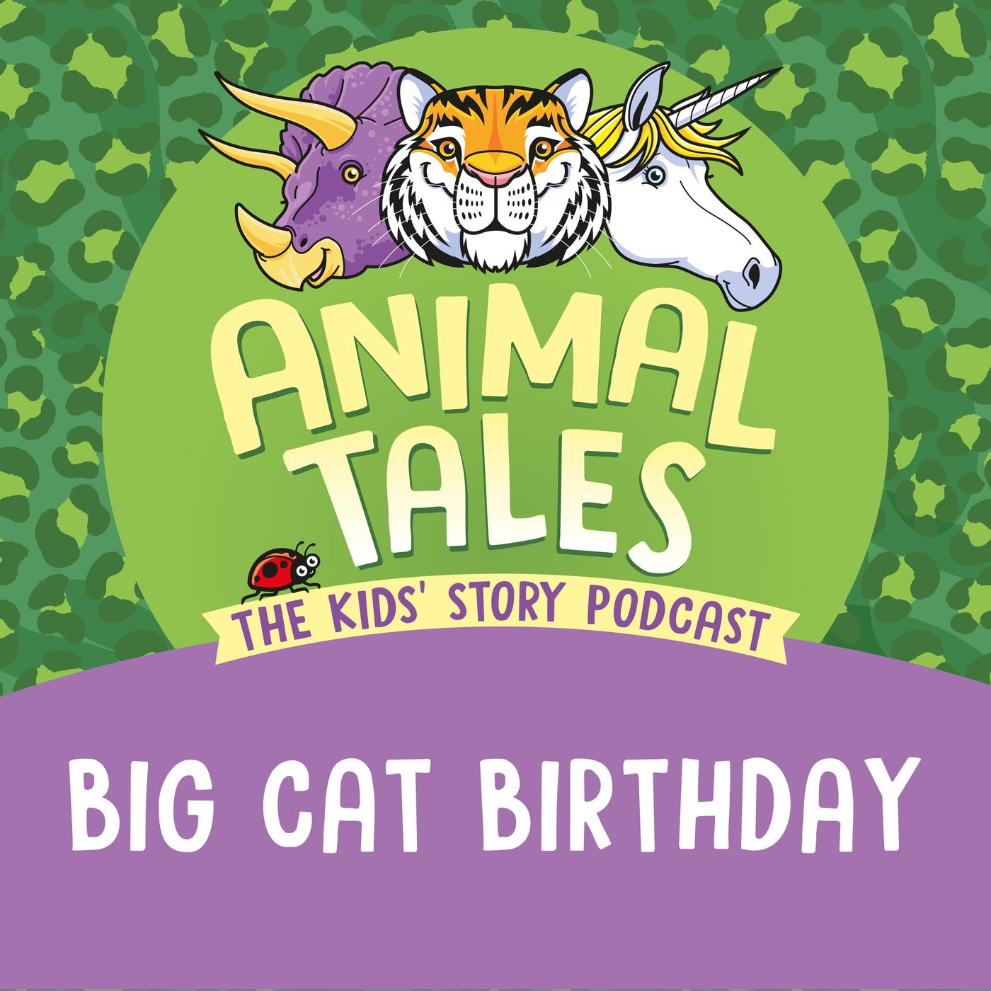 Big Cat Birthday