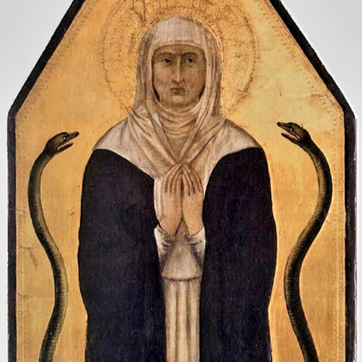 Terciarios