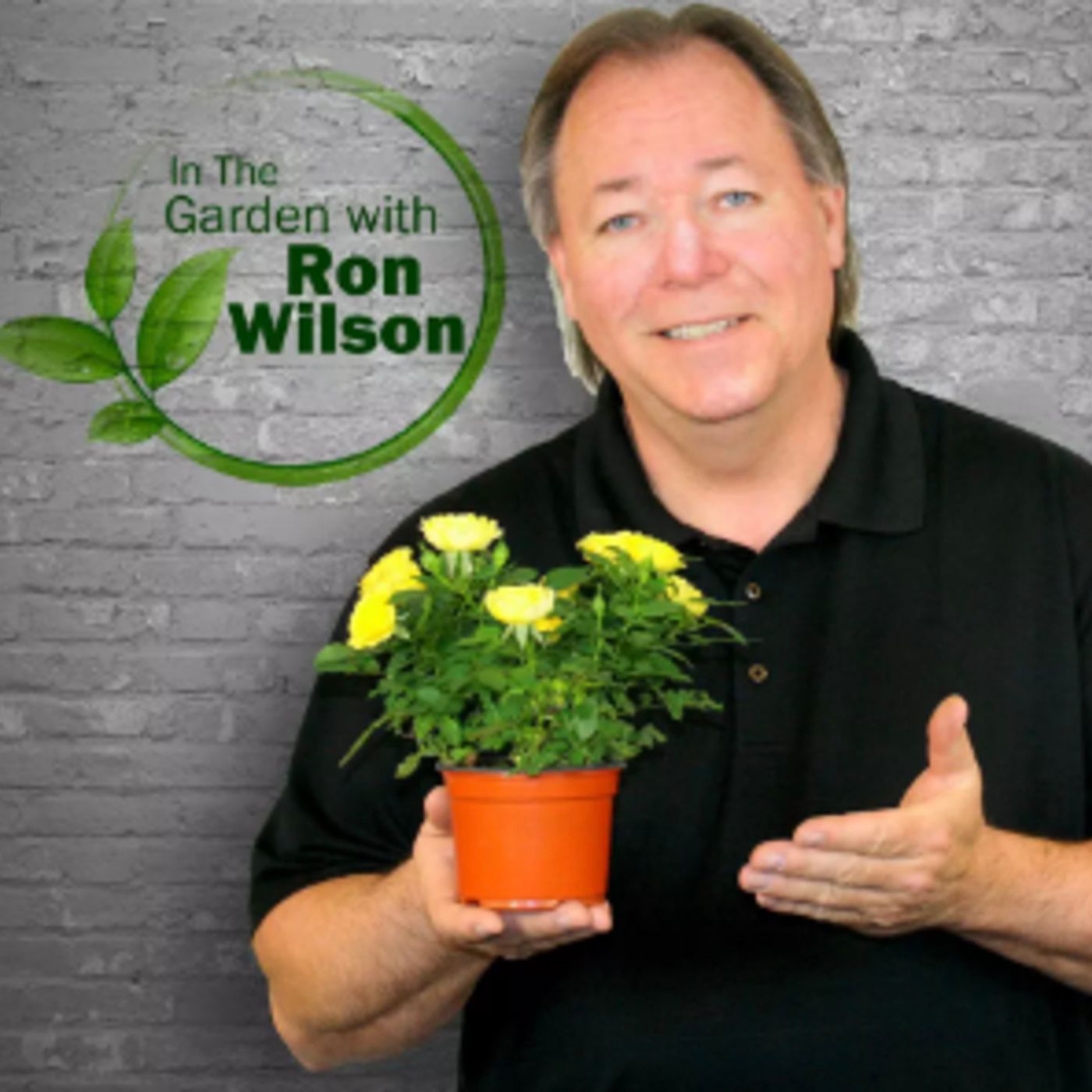 Ron Wilson 6/15/2024 Hour 1