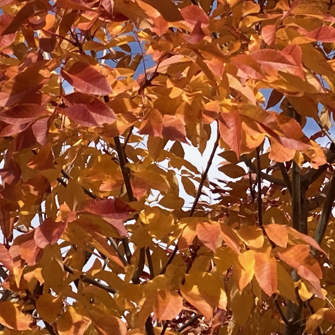 The Frontier Beyond Fear