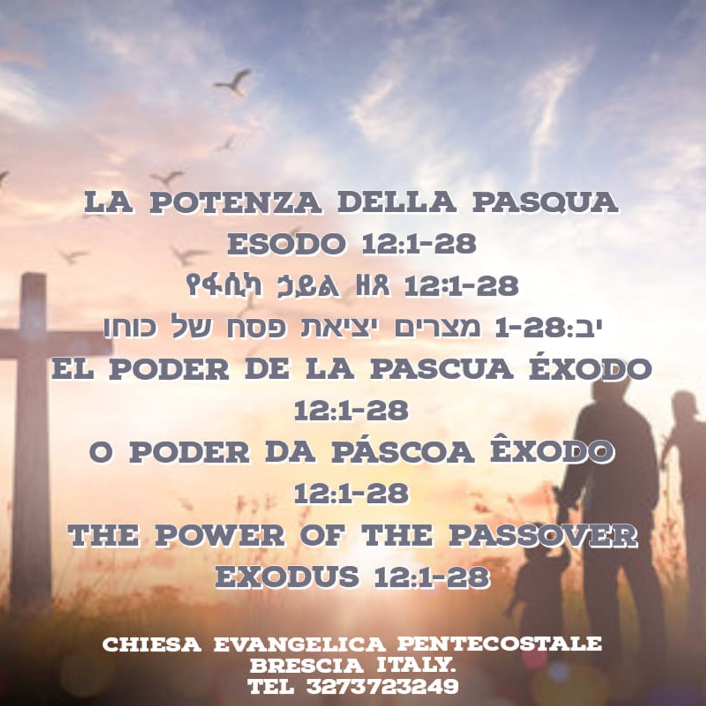IL BATTESIMO E LA VOLONTA DEL REGNO episode artwork