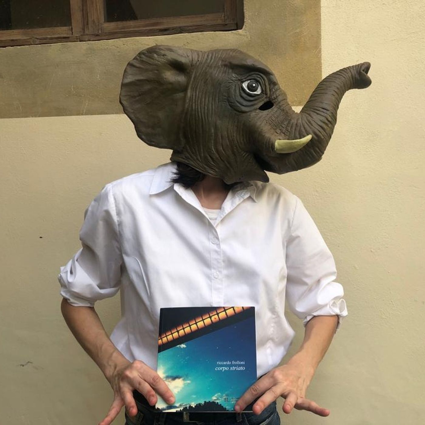 In rime sparse/4 – Su "corpo striato" di Riccardo Frolloni episode artwork
