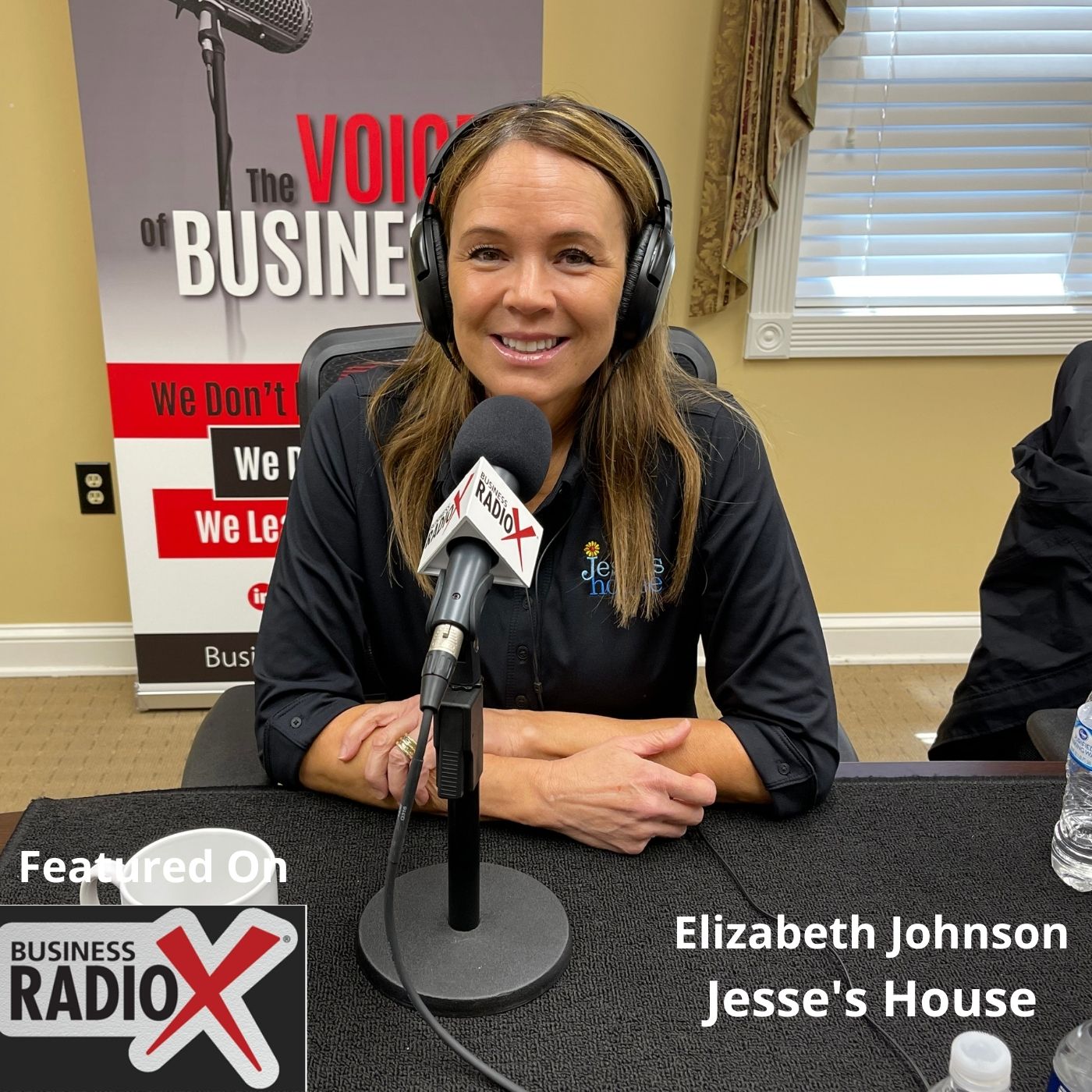 Elizabeth Johnson, Jesse's House episode artwork