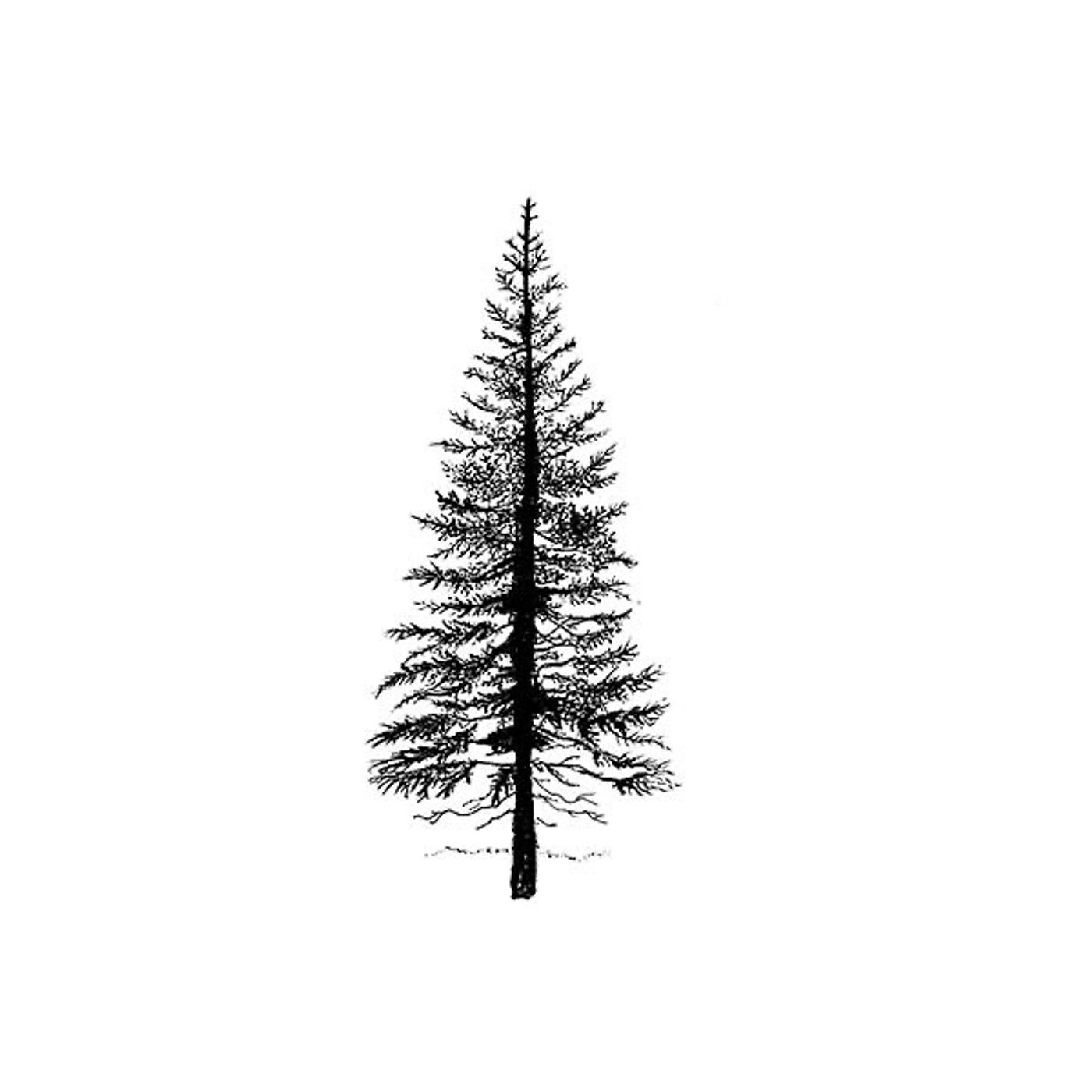 🌲