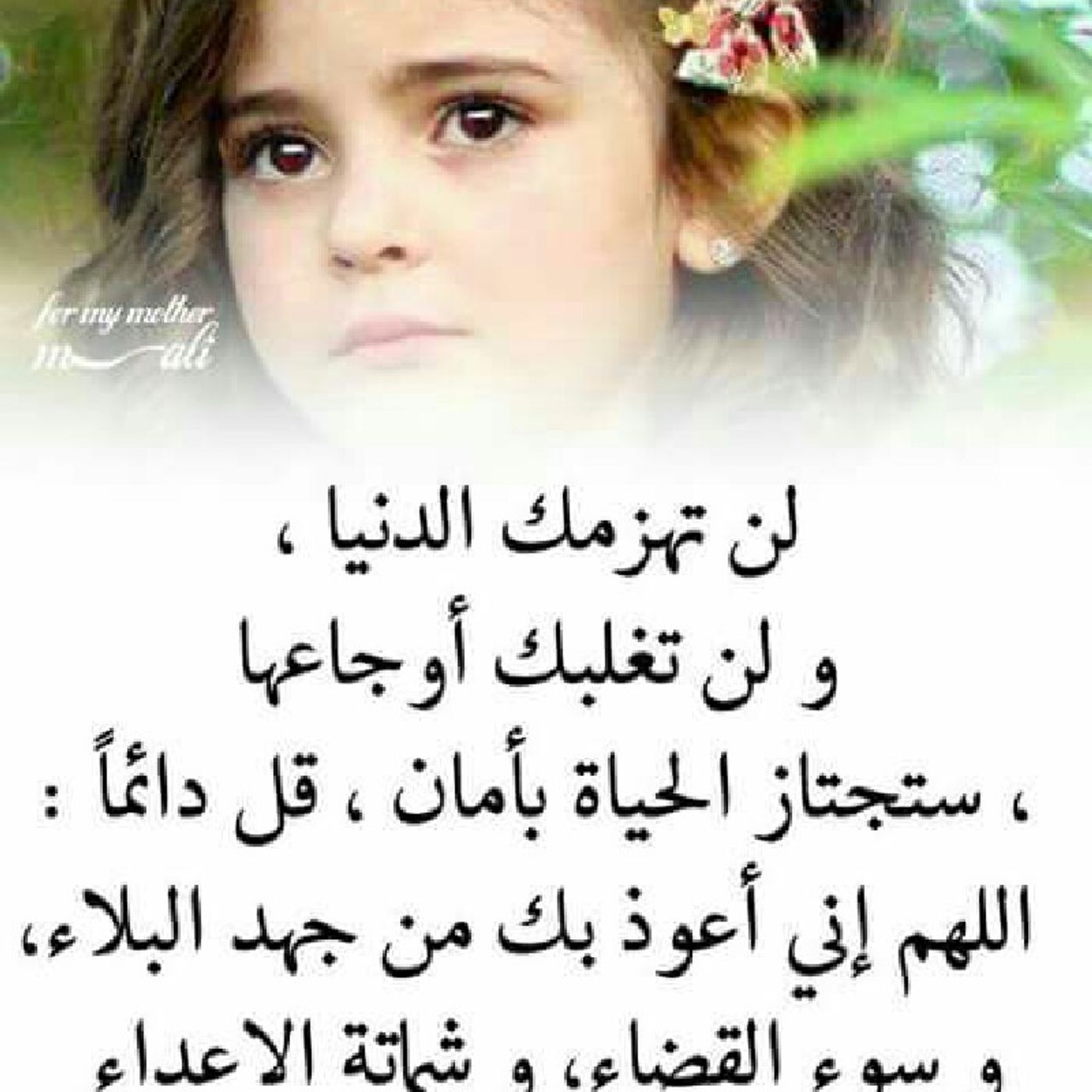 قصة اغرب الهوايات #1